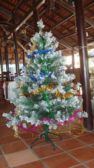 was ein schooooeeener Baum!... ach ne, diese Tradition funktioniert hier nicht... es gab KEINEN Schnaps fuer's Christbaumloben...