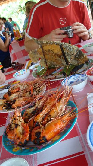 unser Mittagessen... Elefantenfisch... gibt es nur hier im Delta - und um ehrlich zu sein: DAS ist gar nicht sooo schlimm...
