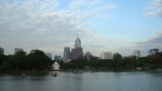 Skyline vom Park aus!