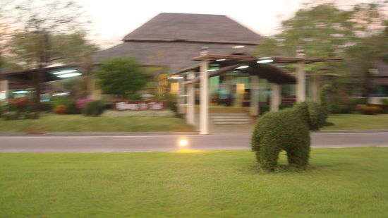 Flughafen Trat.... da waren es nur noch 3 (Fluege)