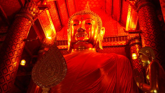 Beeindruckend: 20 Meter hoch!!!