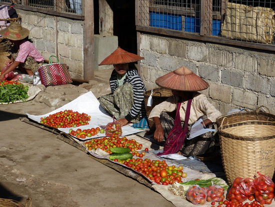 Es ist gerade Tomatensaison...