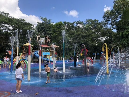 Wasserspielplatz im Zoo