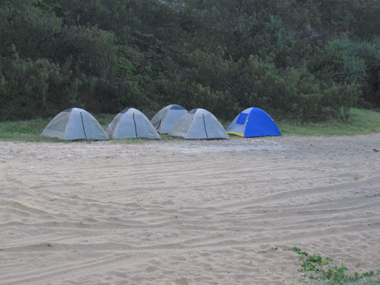 unsere Zelte...schoen brav aufgestellt 