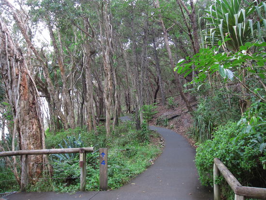 Walk im Nationalpark