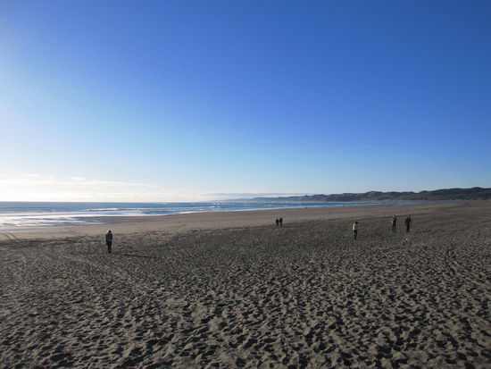 am Strand von Raglan
