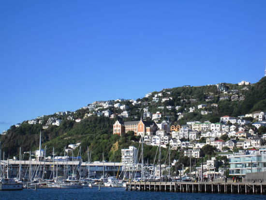 wunderschoenes Wellington