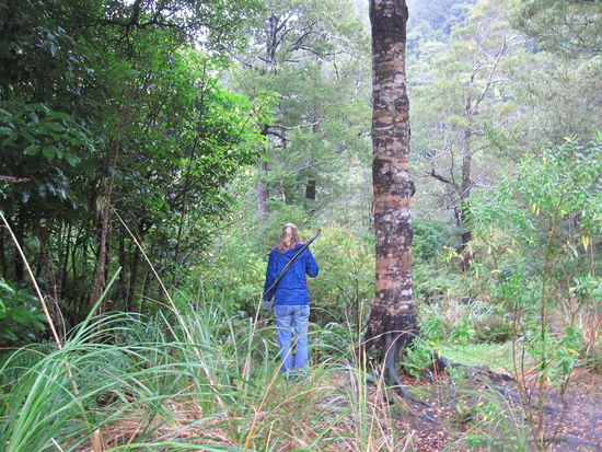 Lord of the Rings - Legolas in Rivendell