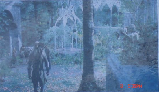 und hier die Originalszene aus dem Film...seht ihr den Baum? Seht ihr den Baum?...achja, das ist doch total spannend, oder?  (Quelle:http://www.collecttolkien.com/XtrasNZTour.htm)