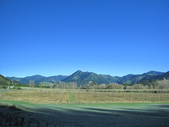noch einmal schoene neuseelaendische Landschaft