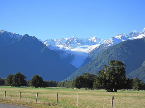 Blick auf den Fox Glacier