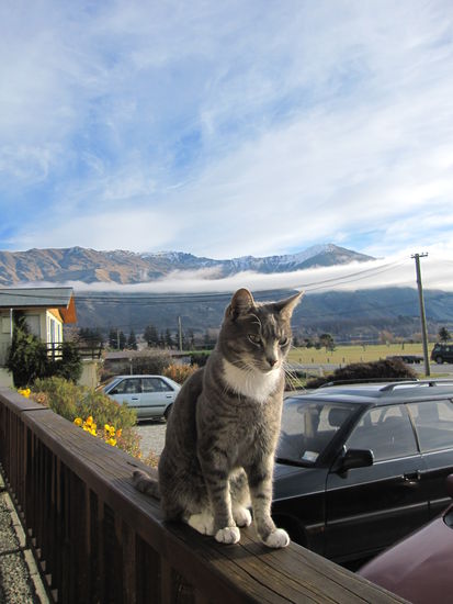 scheones Foto, oder?