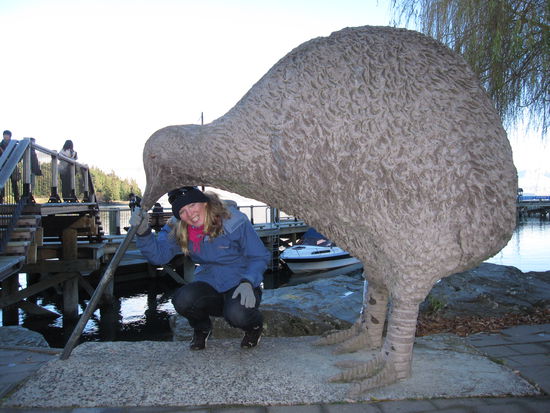 der Kiwi ist das Nationaltier Neuseelands