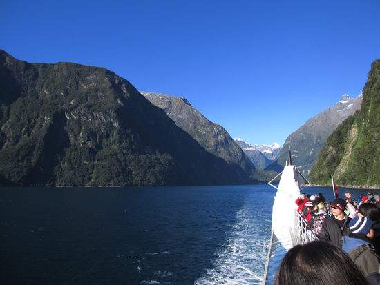 mit dem Boot unterwegs durch den Milford Sound