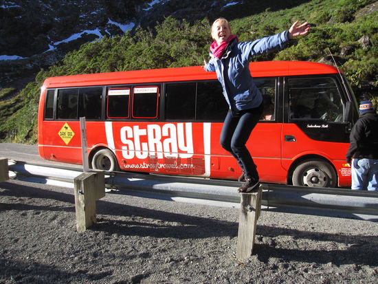 es macht Spass mit Stray zu reisen 