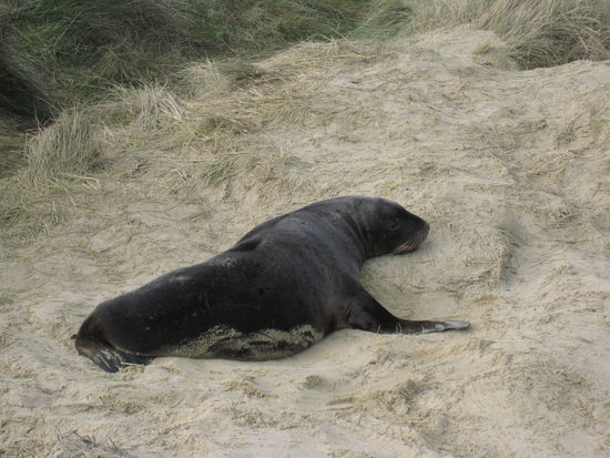 da legt er sich danieder 