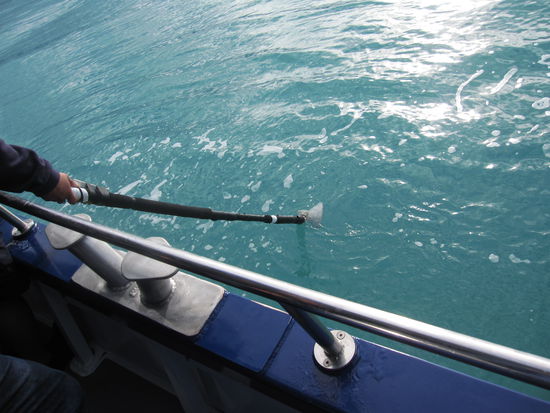 auf der Suche nach Walen mit diesen lustigen Stäben