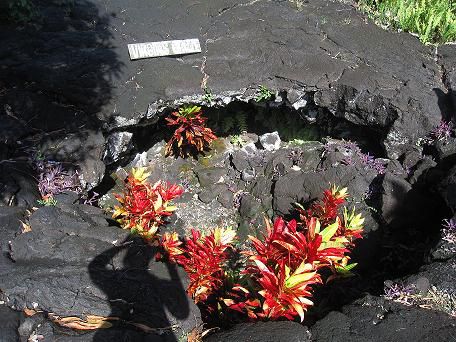 The Virgin Grave