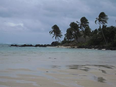 schlechtes Wetter auf Rarotonga...seht ihr wie die Palmen sich mit dem Wind winden?