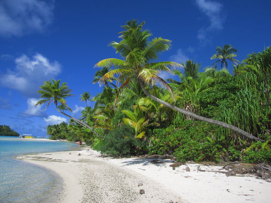 One Food Island, ein Traum wird wahr