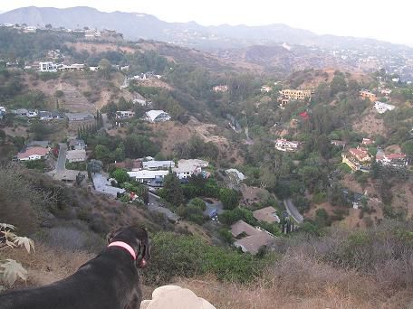 Blick vom Berg des Runyon Canyon Park auf Hollywood Hills