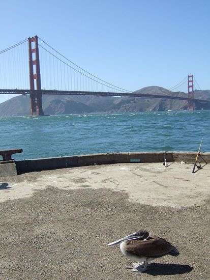 ja, vor der Golden Gate Bridge