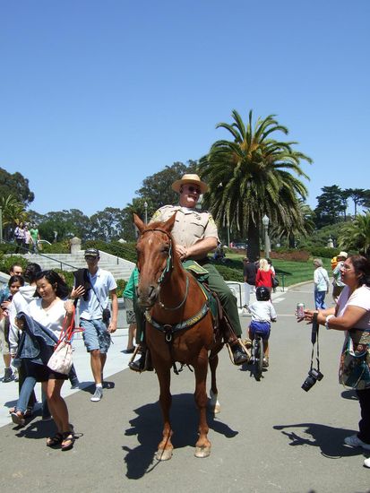 im Golden Gate Park gibt es sogar berittene Polizei