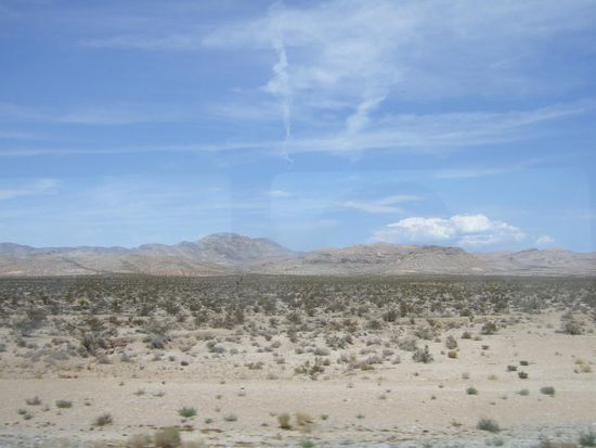 und mit dem Bus durch die Wüste zurück nach Los Angeles