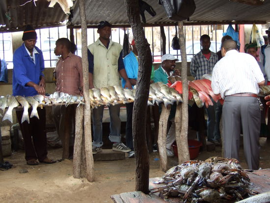 auf dem Fischmarkt in Maputo