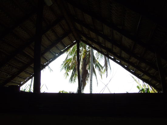 der Blick aus der Dusche