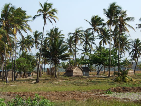 auf dem Weg nach Tofo Town II