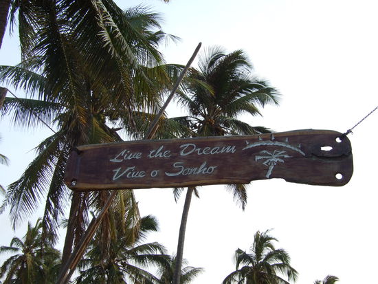 genau das mache ich gerade 