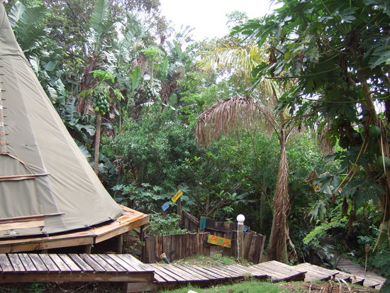 im Mantis and Moon Backpacker I