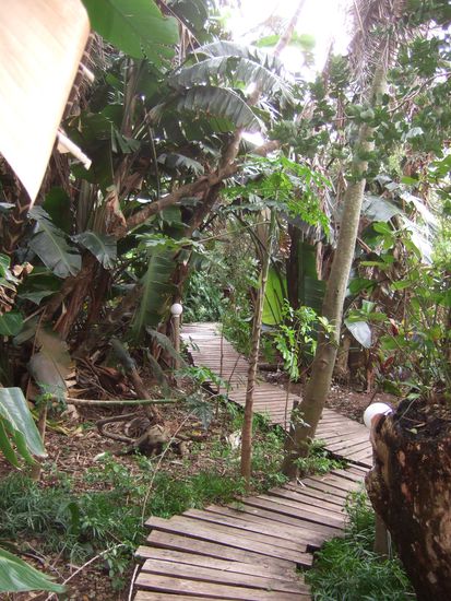 im Mantis and Moon Backpacker II