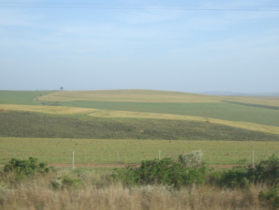 Gardenroute II
(koennte doch auch Deutschland sein, oder?)