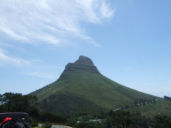 Lion's Head 
(gehoert zum Massiv des Tafelbergs und gilt unter den Kapstaedtern oft als Orientierungspunkt)