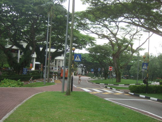 Ein kurzer Blick auf den Campus