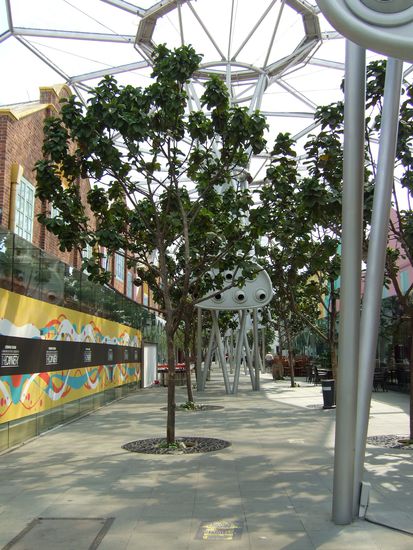 Clark Cay...aus diesen grauen Gebilden (sehen ein bisschen so aus, als waeren sie von einem anderen Planeten) stoemt frische Luft heraus (also so eine Art Klimaanlage).