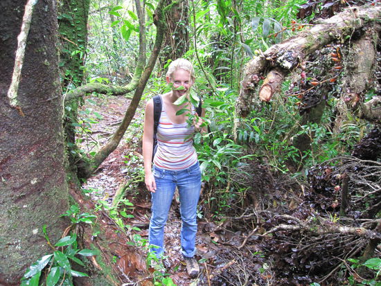 ... und ziemlich urig!