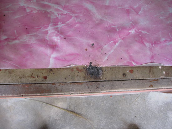 mmh, lecker, hier sassen die Fliegen, die einem jedes Mal beim Oeffnen der Tuer entgegenflogen.