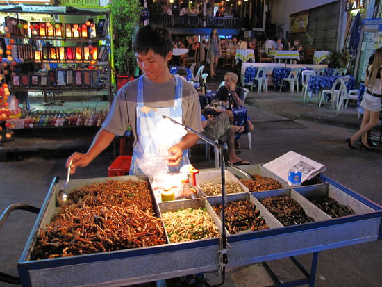 hat jemand Hunger auf Insekten?