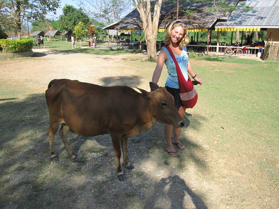 ...und ein bisschen wie in Afrika