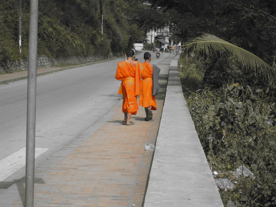 die ersten Moenche in Luang Prabang
