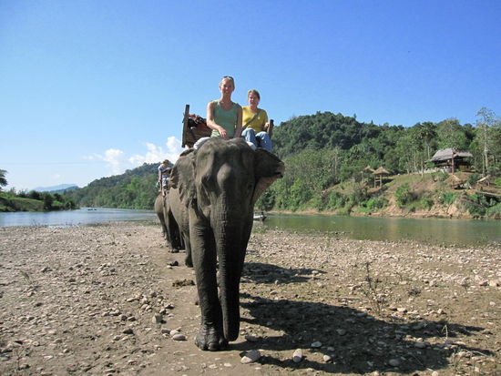 und wer lenkt den Elefanten? Natuerlich ich 