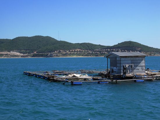auf dem Rueckweg: ein Haus"boot"