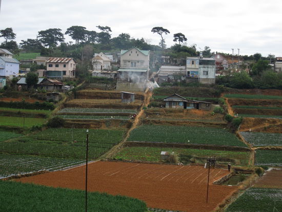 Felder in den Central Highlands