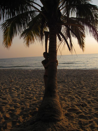 immer schoen hinter der Palme verstecken, ne? 