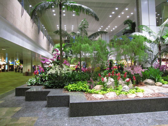 auf Wiedersehen Singapur: schoene Bepflanzung auf dem Flughafen
