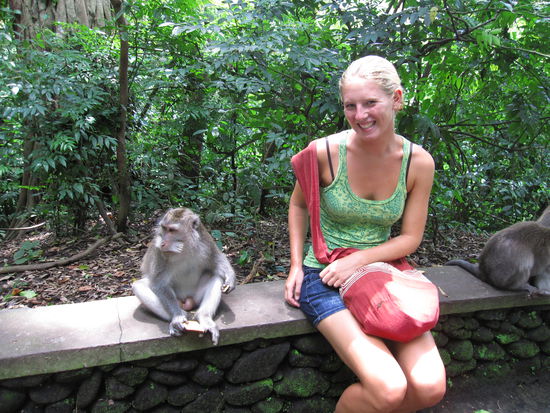 ein Affe und ein noch etwas groesserer Affe im Monkey Forest 