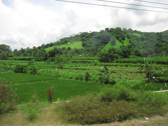 Auf dem Weg zum Boot: Impressionen von Bali II